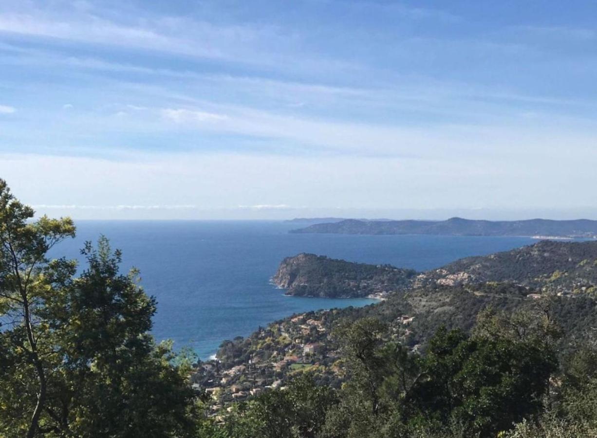 Villa Les Alizes Le Le Rayol-Canadel-sur-Mer Dış mekan fotoğraf