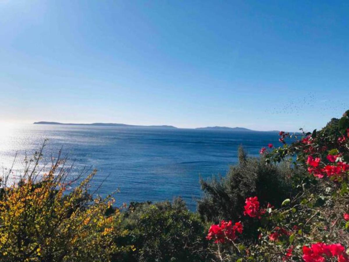 Villa Les Alizes Le Le Rayol-Canadel-sur-Mer Dış mekan fotoğraf