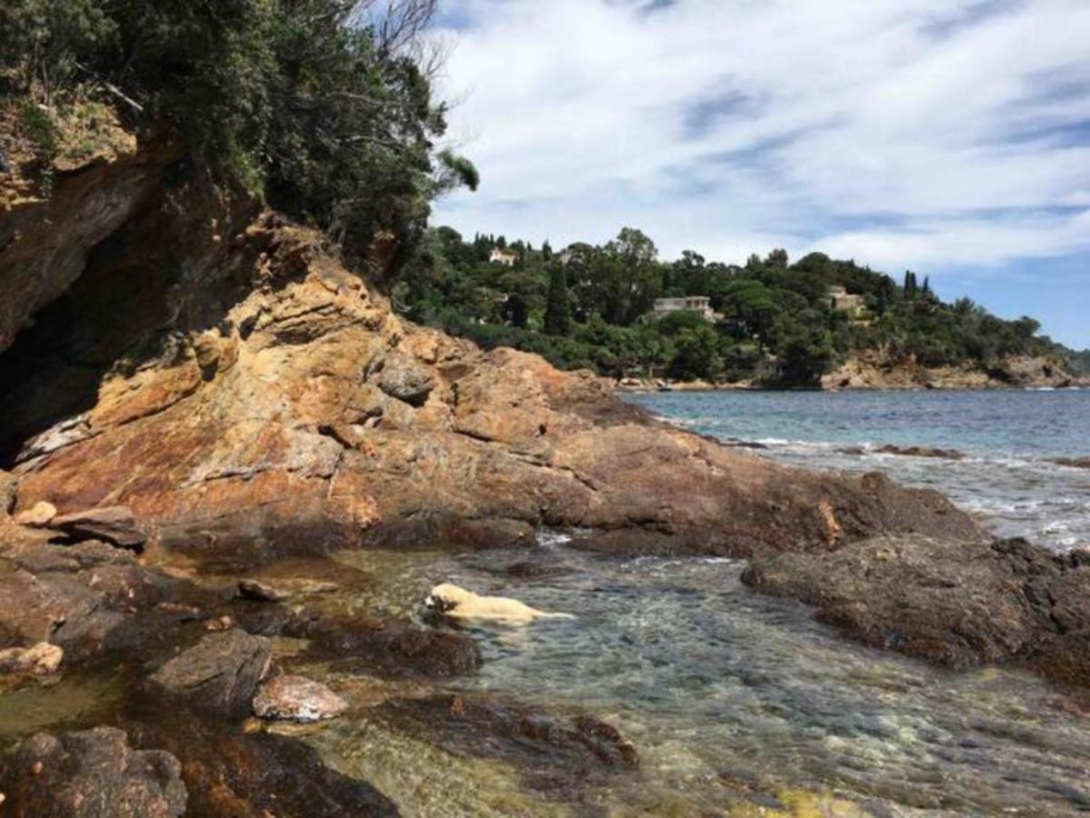 Villa Les Alizes Le Le Rayol-Canadel-sur-Mer Dış mekan fotoğraf