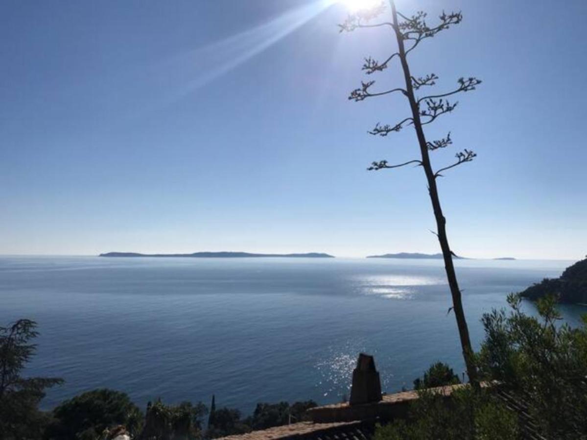 Villa Les Alizes Le Le Rayol-Canadel-sur-Mer Dış mekan fotoğraf