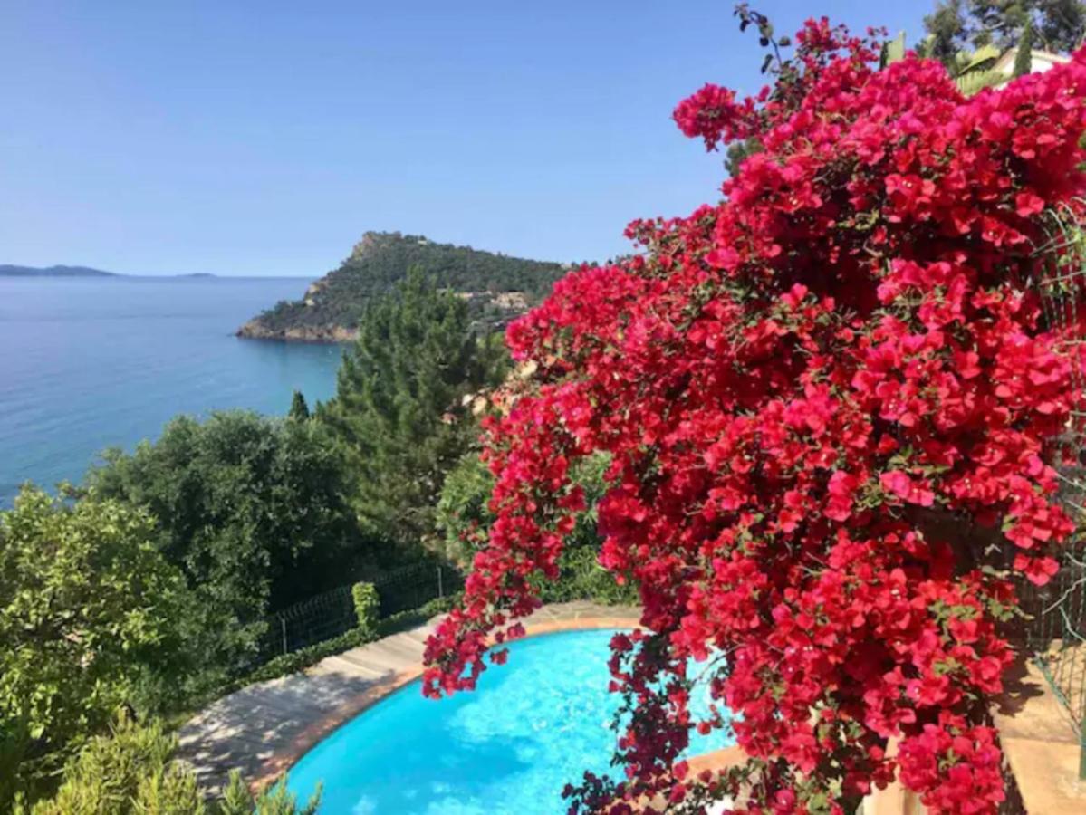 Villa Les Alizes Le Le Rayol-Canadel-sur-Mer Dış mekan fotoğraf