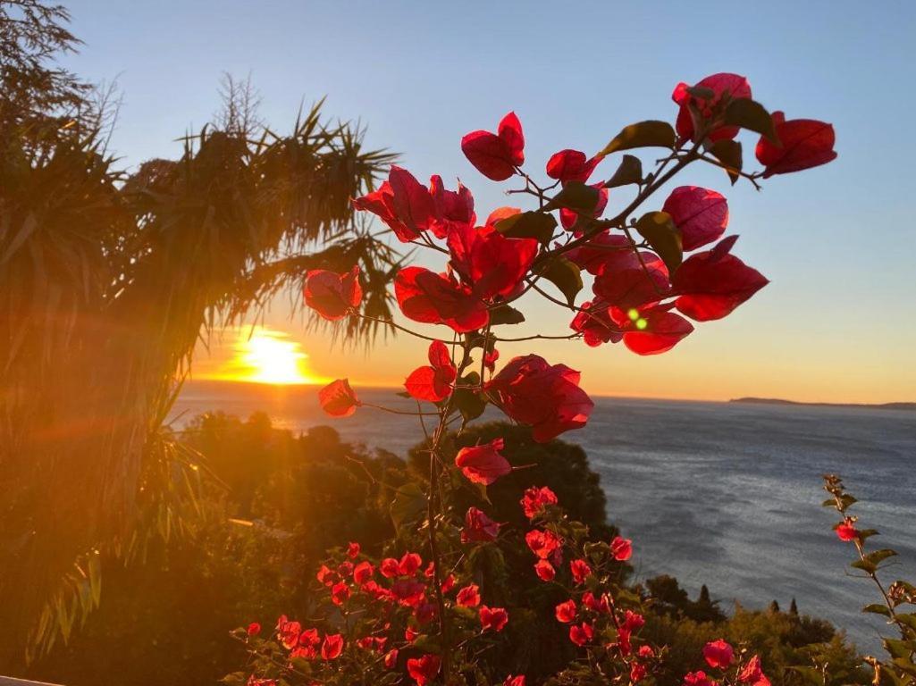 Villa Les Alizes Le Le Rayol-Canadel-sur-Mer Dış mekan fotoğraf