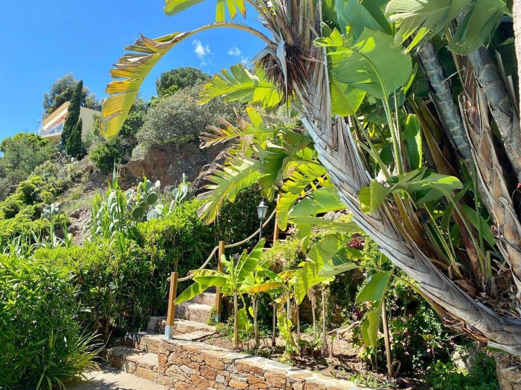 Villa Les Alizes Le Le Rayol-Canadel-sur-Mer Dış mekan fotoğraf