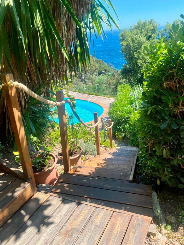 Villa Les Alizes Le Le Rayol-Canadel-sur-Mer Dış mekan fotoğraf
