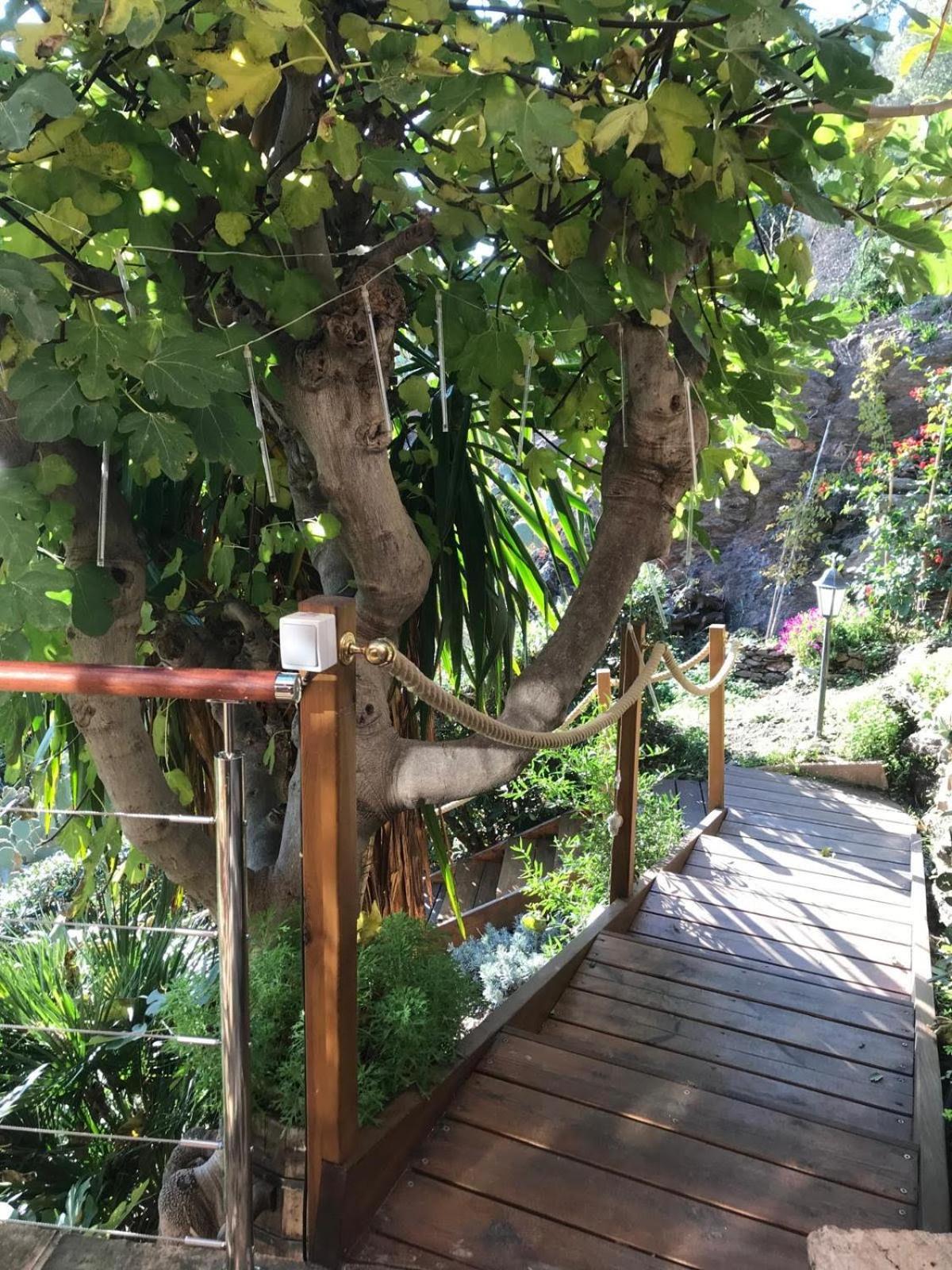 Villa Les Alizes Le Le Rayol-Canadel-sur-Mer Dış mekan fotoğraf